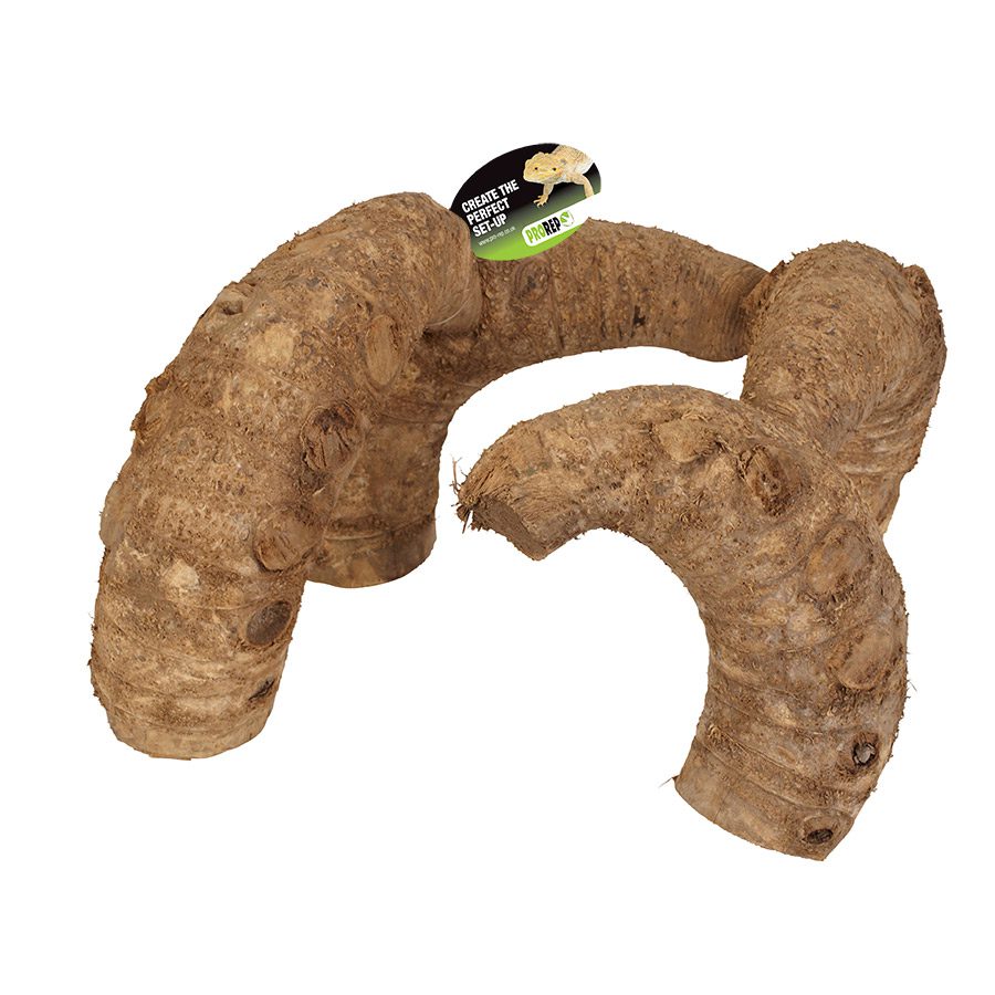 Bamboo Root Jungle Gym