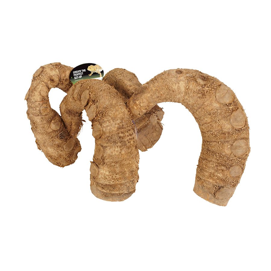 Bamboo Root Jungle Gym