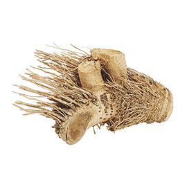 ProRep Hedgehog Bamboo Root