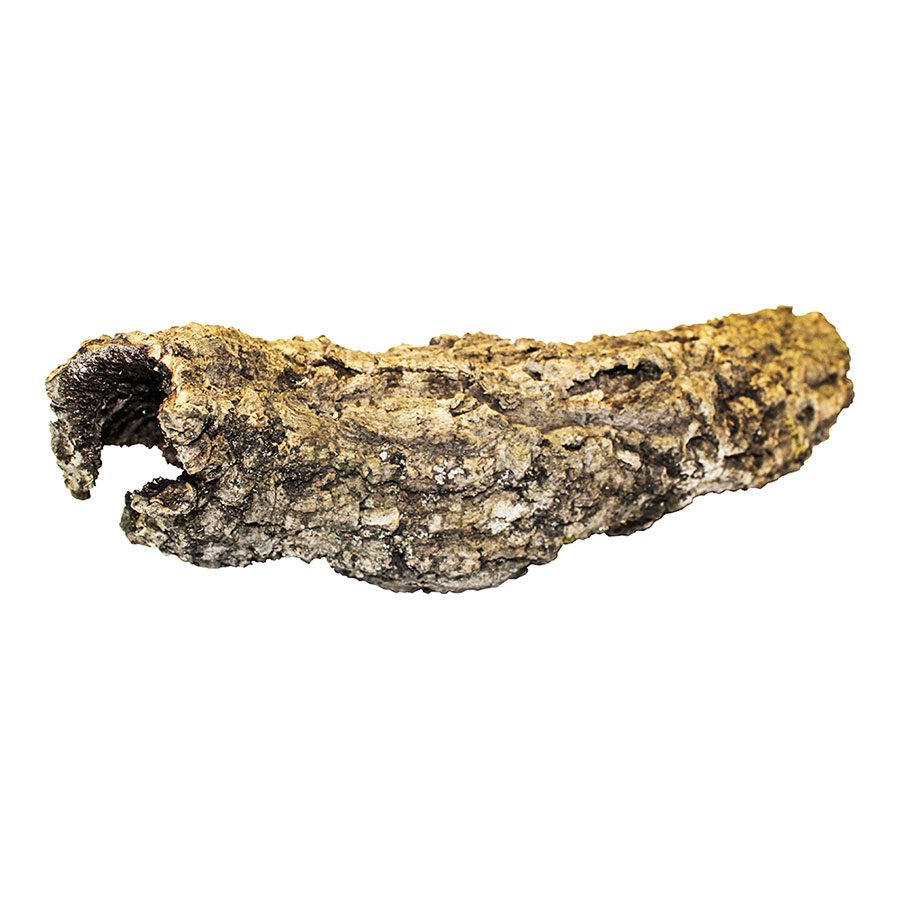 ProRep Cork Bark Flat Small