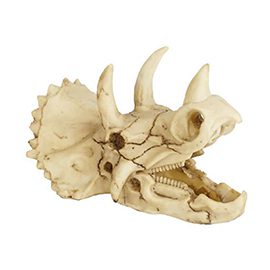 Resin Dinosaur Skull