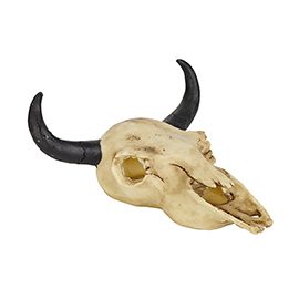 Resin Goat Skull