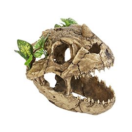 Resin Dinosaur Skull with Plants