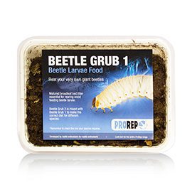 Beetle Grub