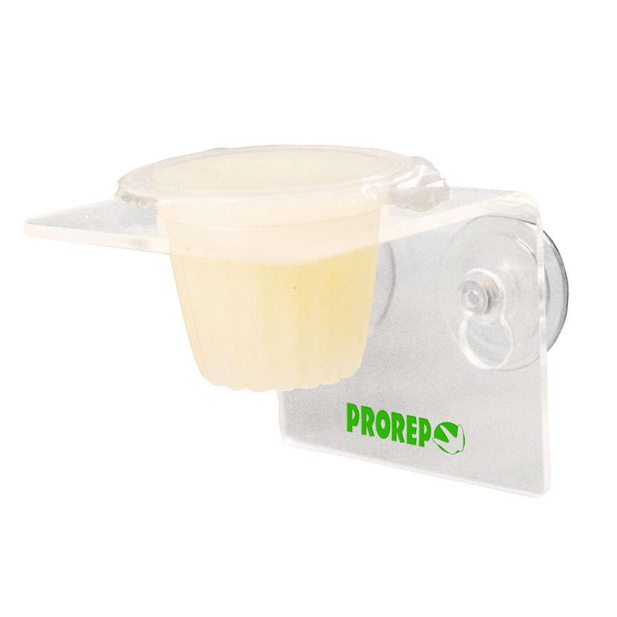 Prorep sales jelly pots