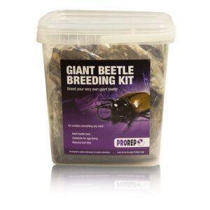 Chafer Beetle Rearing Kit