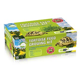 Tortoise Feed Growing Kit