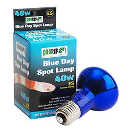 Blue Day Spotlamp