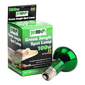 Green Jungle Spotlamp