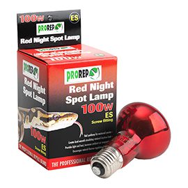 Red Night Spotlamp
