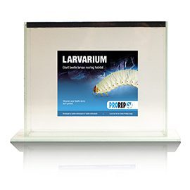 Larvarium