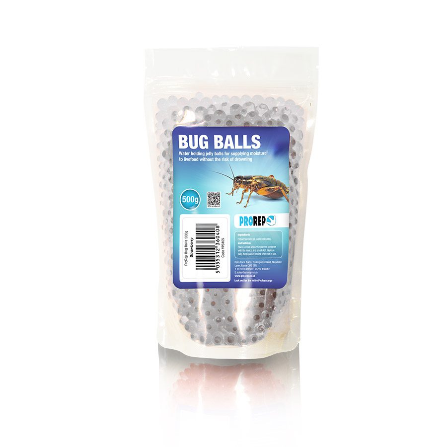 Bug Balls