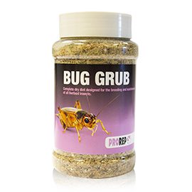 Bug Grub