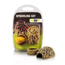 Spiderling Set