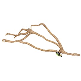 ProRep Bamboo Root Branch