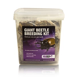 ProRep Chafer Beetle Rearing Kit