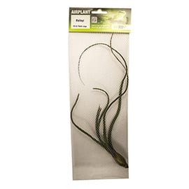 ProRep Large Airplants