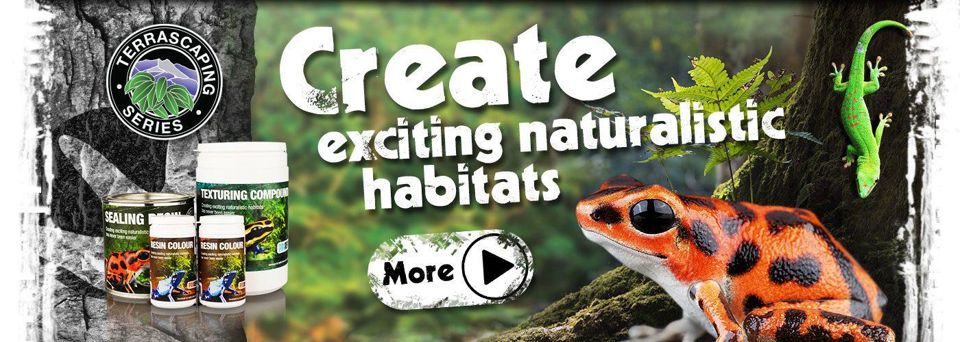 Create exciting, naturalistic habitats