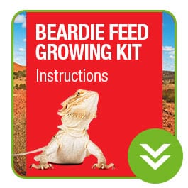 ProRep Beardie Feed growing Kit Instructions