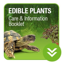 ProRep Edible Plant Care Booklet