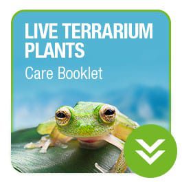 ProRep Live Plant Care Booklet