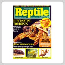 Practical Reptile Keeping