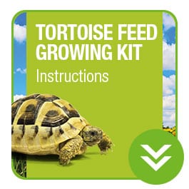 ProRep Tortoise Feed growing Kit Instructions