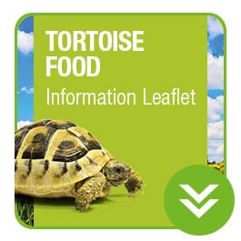 ProRep Tortoise Food Information Leaflet