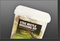 ProRep Stag Beetle Kit