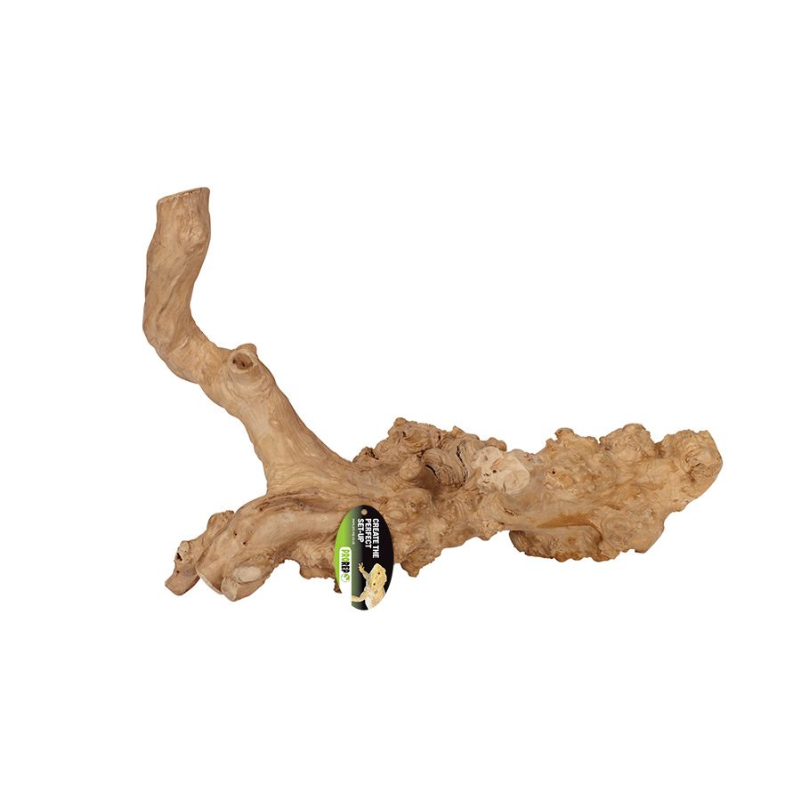 PR Jakarta Reptile Branch, Extra-Large PR Jakarta Reptile Branch, Extra-Large