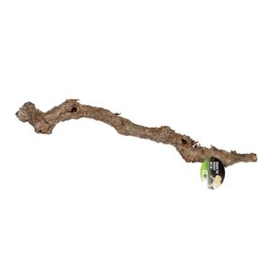 PR Cork Oak Branch, 80-100cm