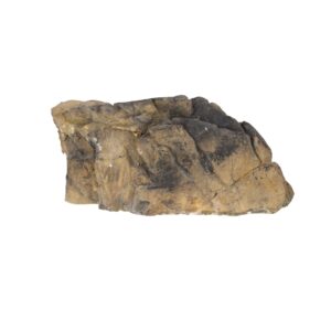 PR Reptile Ridge Small 22x11x9.5cm DPL005