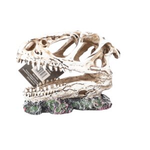 PR Allosaurus Skull 12.5x6x10cm DPS050