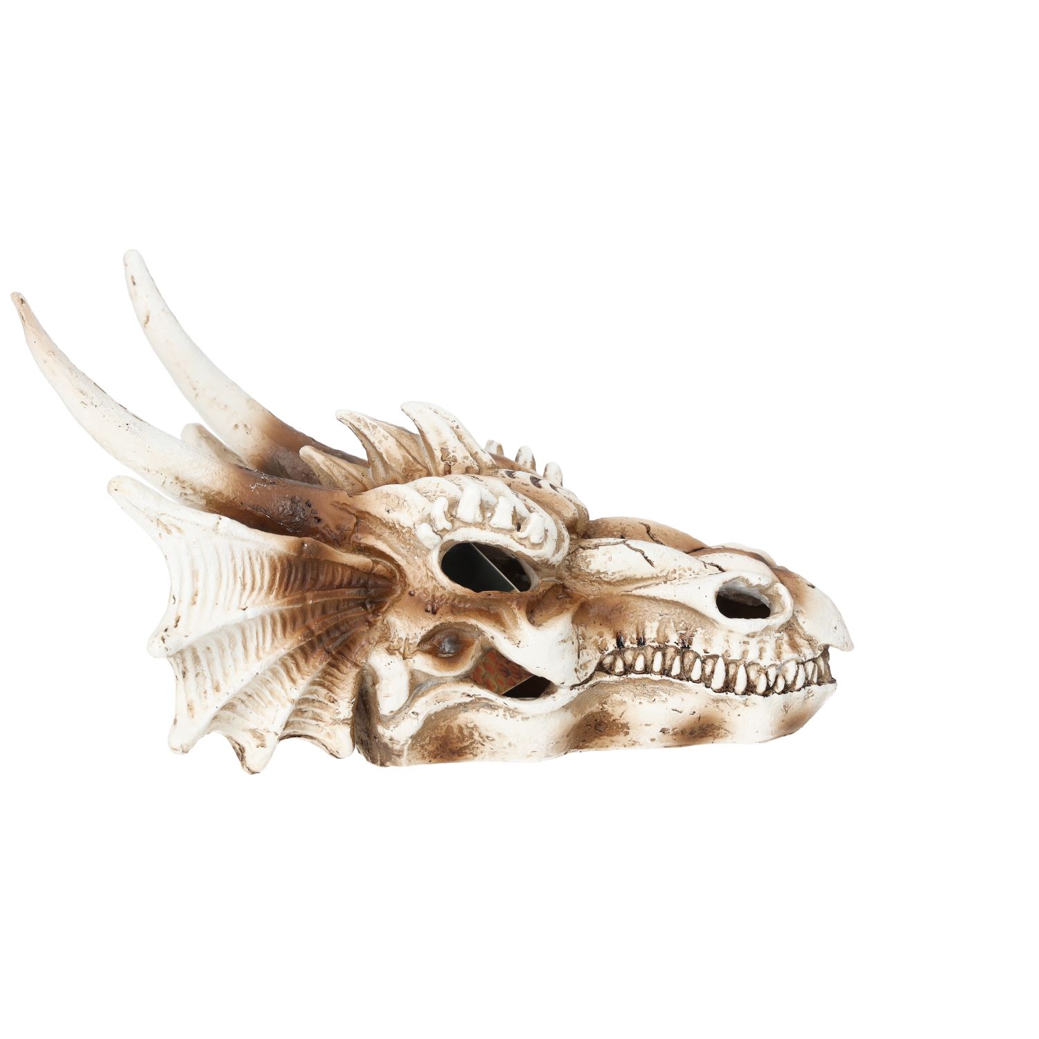 PR Dragon Skull Med 19.5x14.8x13.5cm DPS080