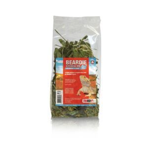 PR Bearded Dragon Botanical Mix 80g