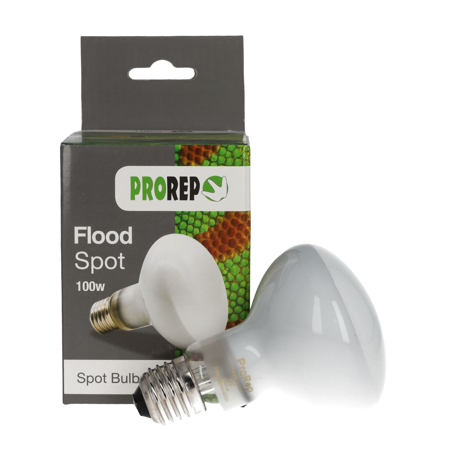 Flood Spot Lamp