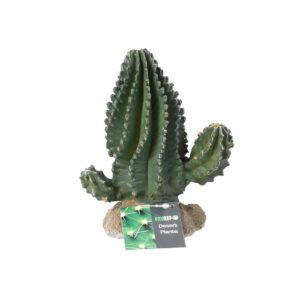 PR Cactus 13x7.5x15cm PPP200