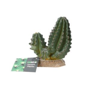 PR Cactus Group 9x5.5x10cm PPP201