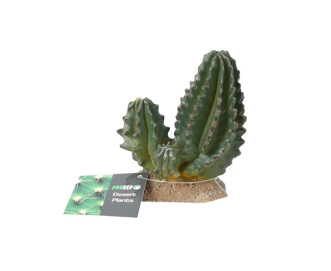 PR Cactus Group 9x5.5x10cm PPP201