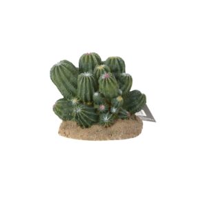 PR Cactus Cluster 12x10.5x11cm PPP202