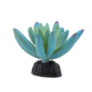 PR Sedum Plant Blue 10cm PPP211