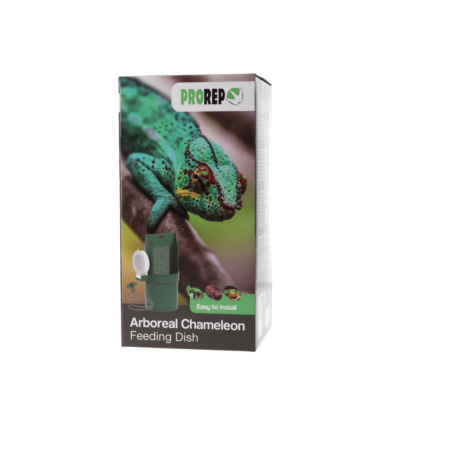 Arboreal Chameleon Feeding Dish