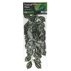 Silk Hanging Plant Watermelon Peperomia 45cm