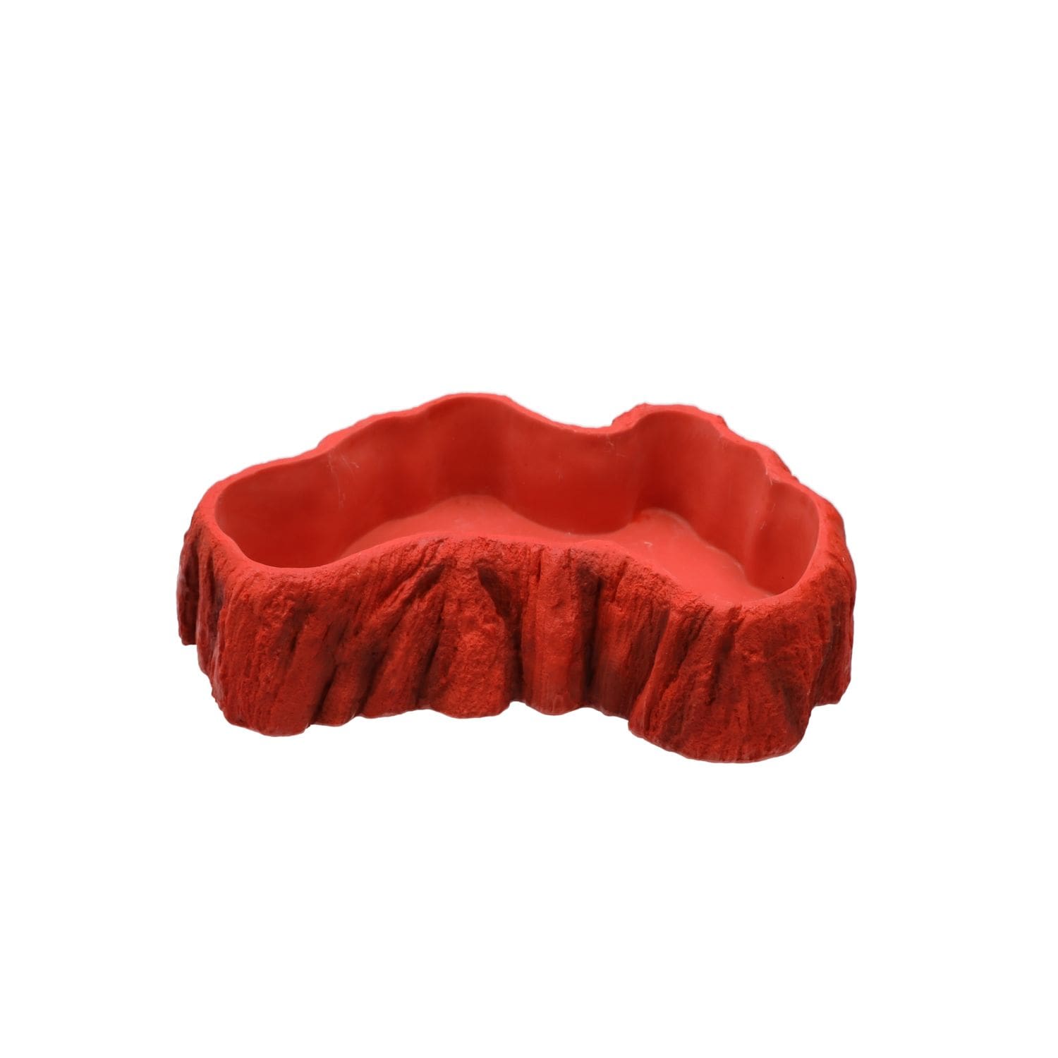 PR Beardie Billabong Pool Large