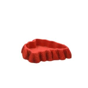 PR Beardie Tucker Feed Dish